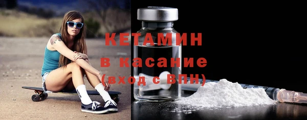 крисы Алексин