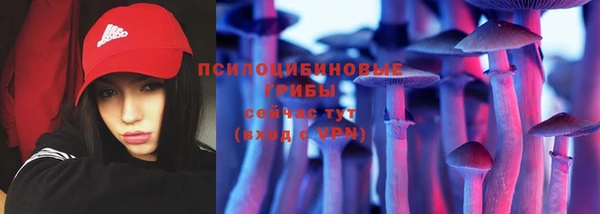 крисы Алексин