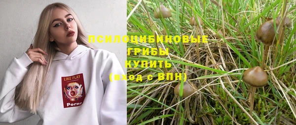 крисы Алексин