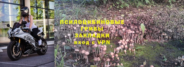 крисы Алексин