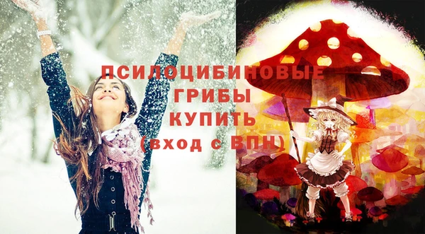 крисы Алексин