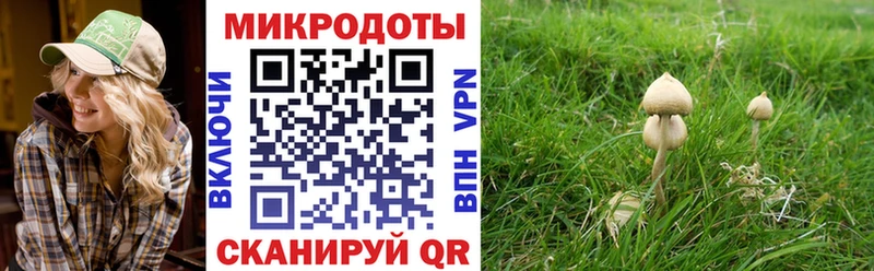 Псилоцибиновые грибы мицелий  купить наркотики цена  mega ТОР  Ладушкин 